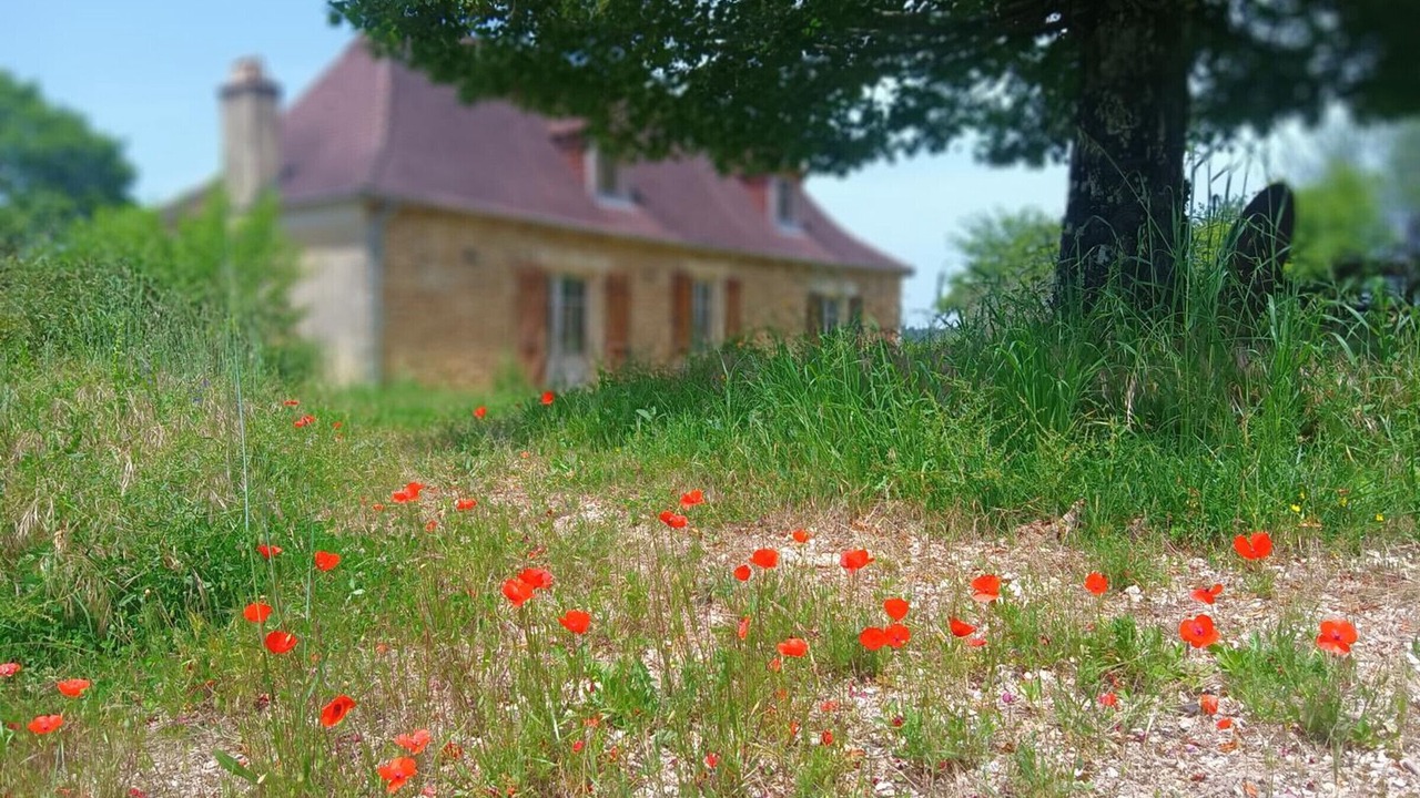 Photo of Outdoor in Le Bugue