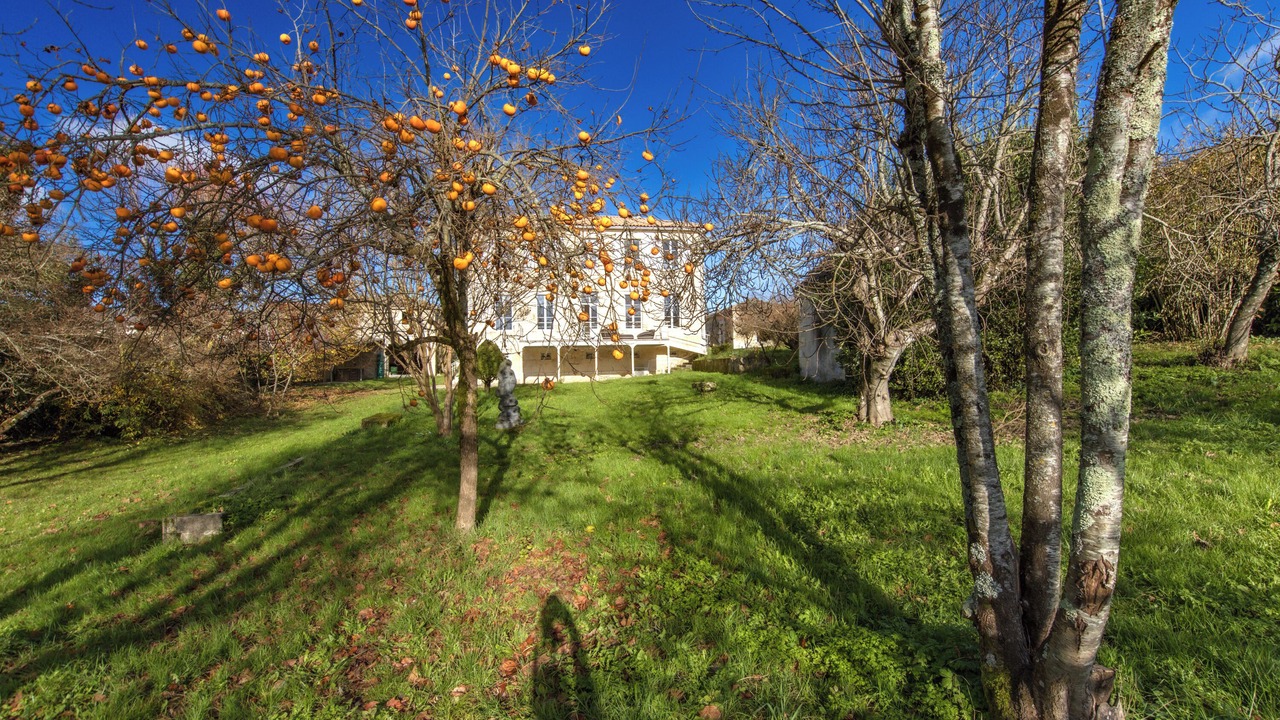 Photo of Outdoor in Semillac