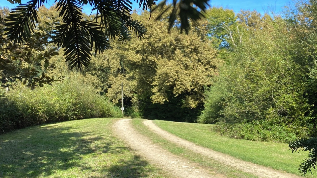 Photo of Outdoor in Betbezer-d'Armagnac