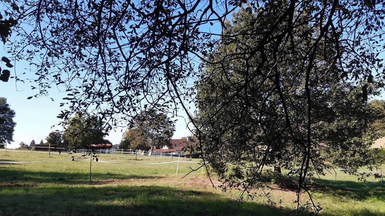 Photo of Others in Fossemagne