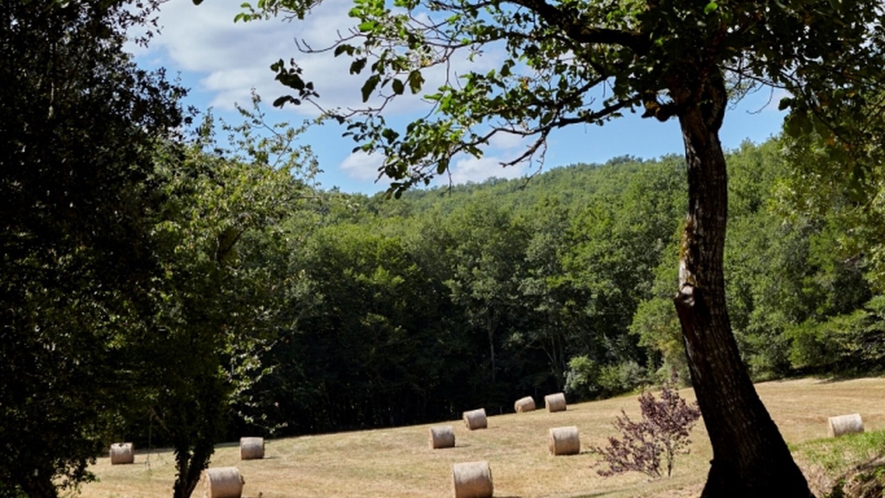 Photo of Outdoor in Vitrac