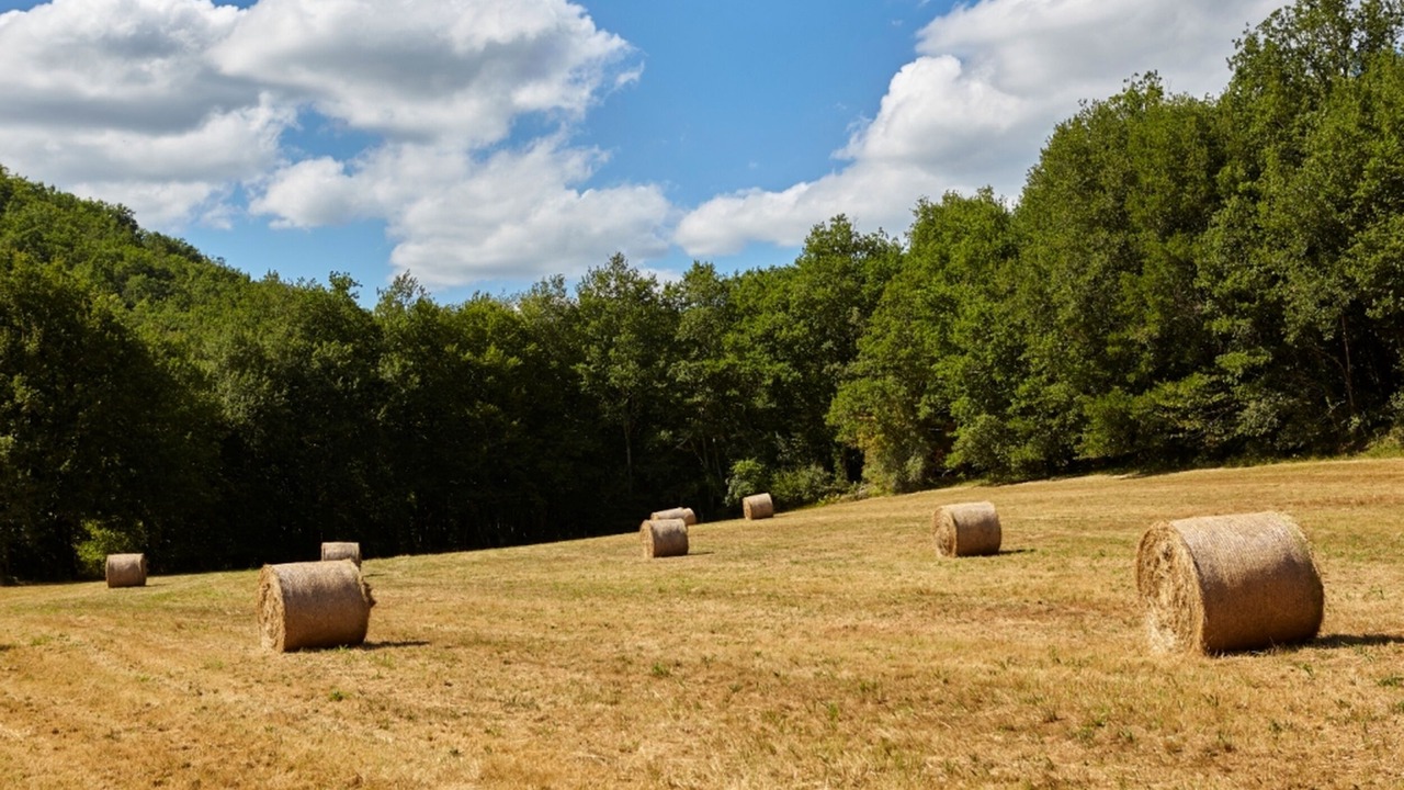 Photo of Outdoor in Vitrac