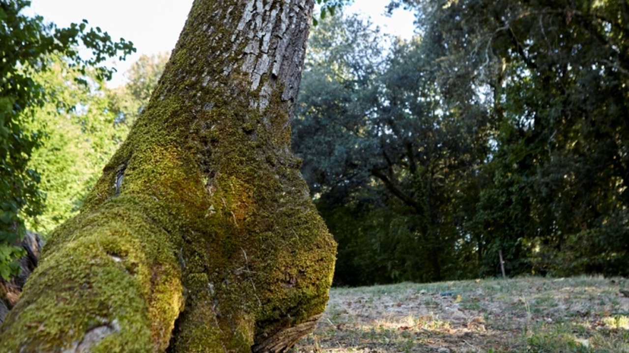 Photo of Outdoor in Vitrac