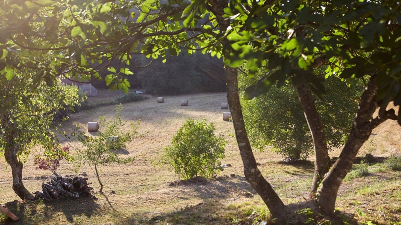 Photo of Outdoor in Vitrac