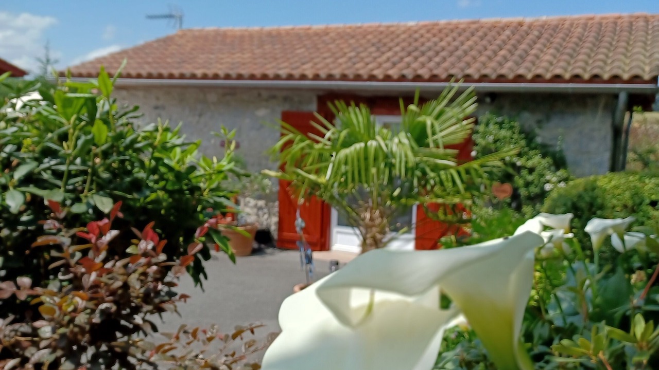 Photo of Outdoor in Saint-Martin-d'Arberoue