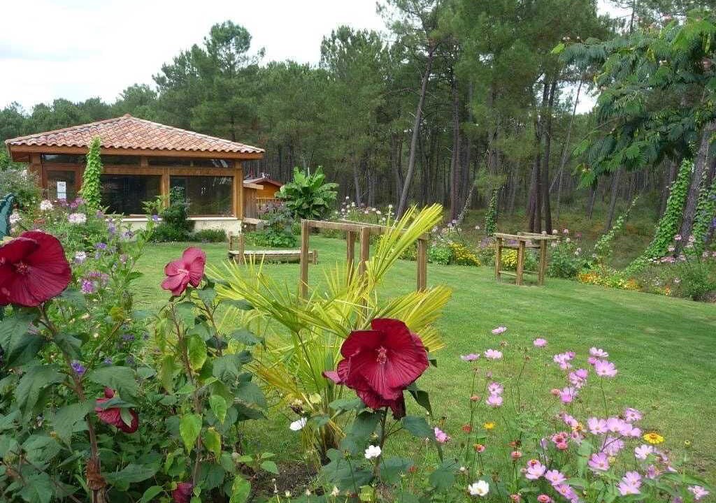Photo of Outdoor in Saint-Michel-Escalus