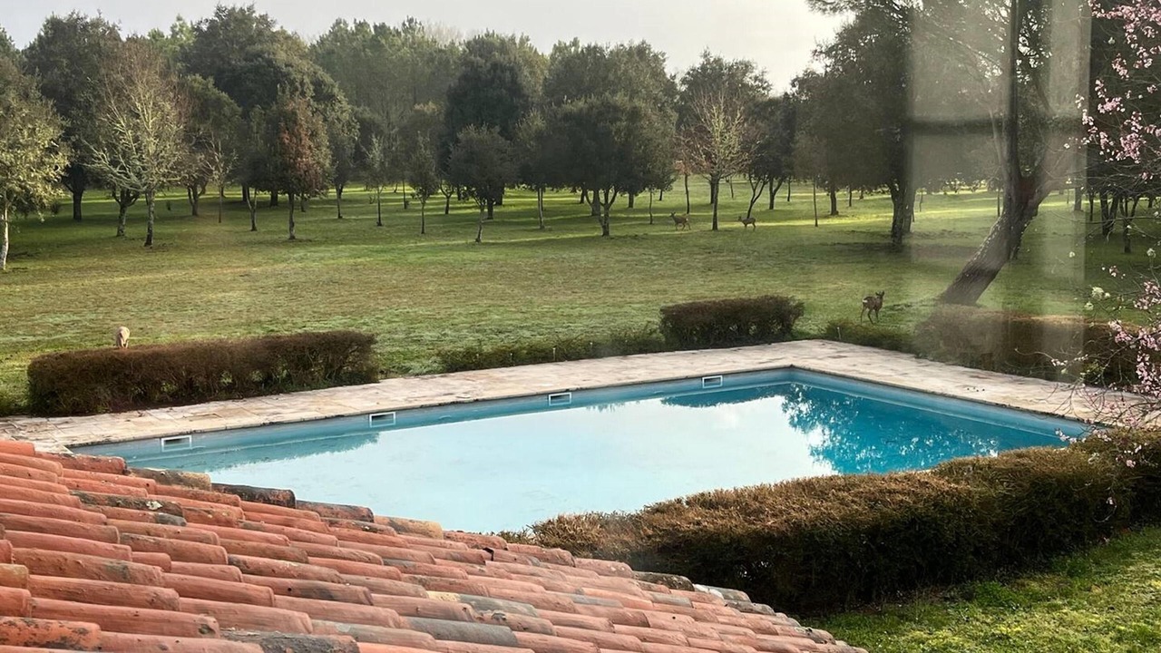 Photo of Outdoor in Fargues-sur-Ourbise