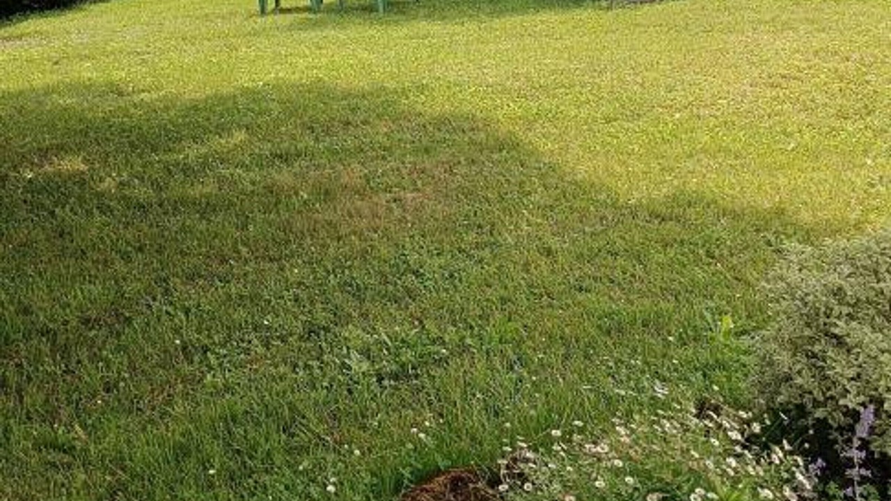 Photo of Outdoor in Allemans