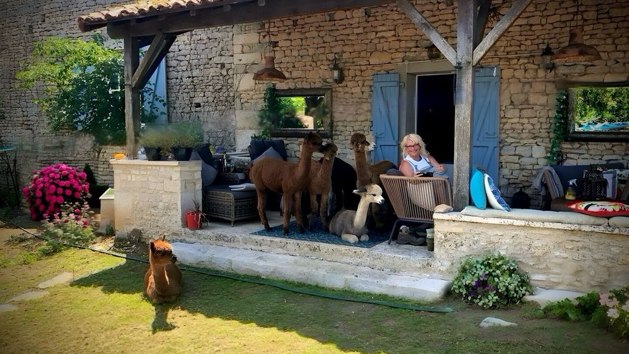 Photo of Outdoor in Limalonges