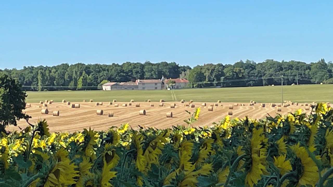 Photo of Others in Challignac