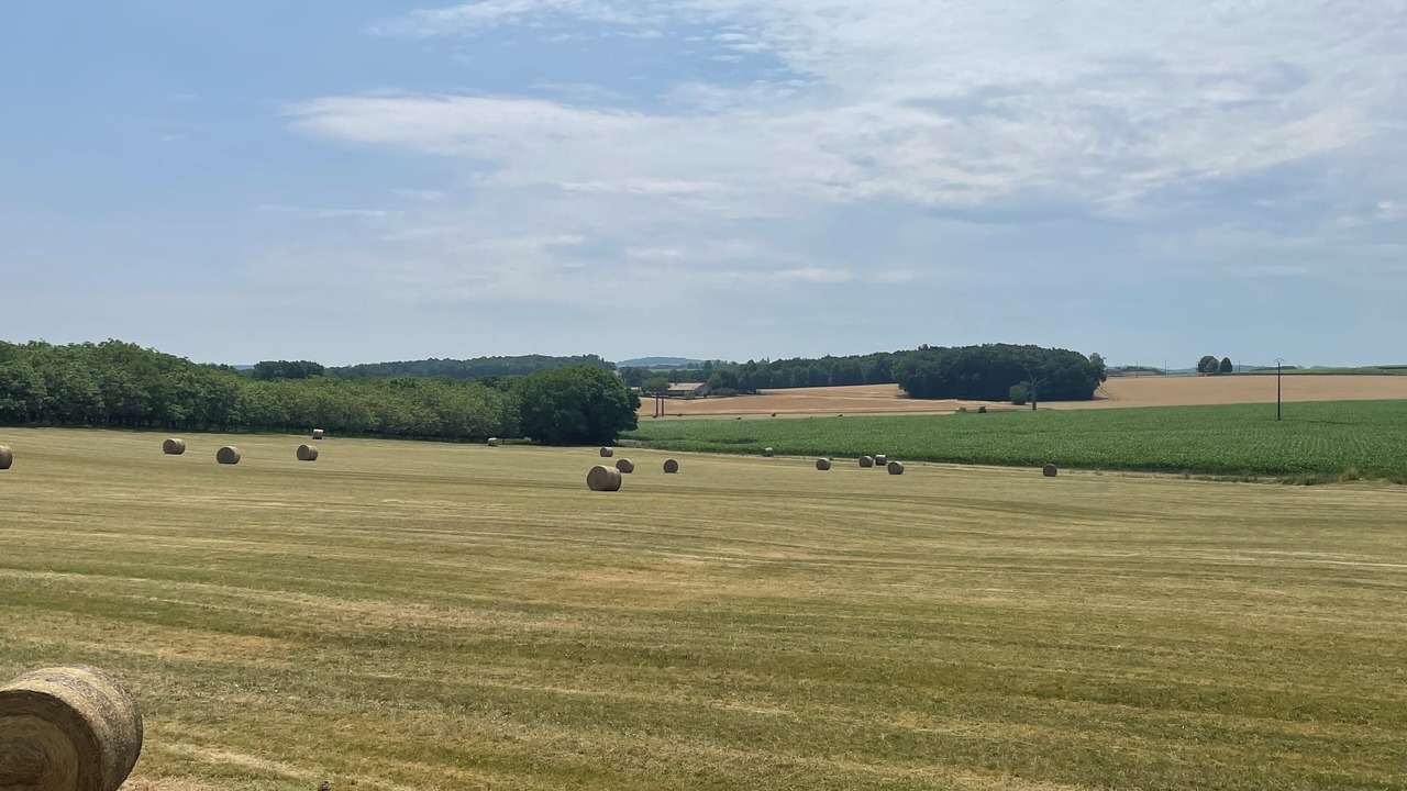 Photo of Others in Challignac