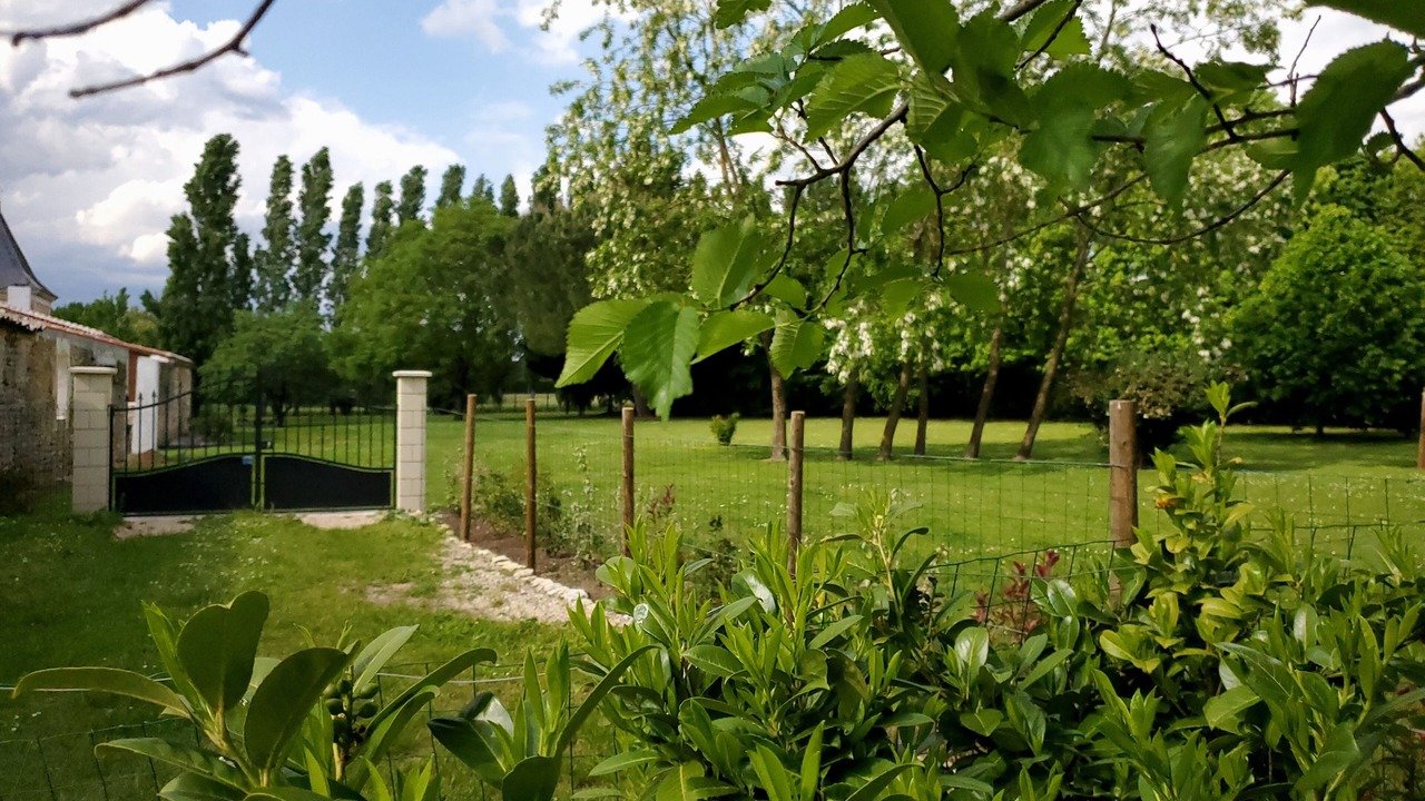 Photo of Outdoor in Gemozac