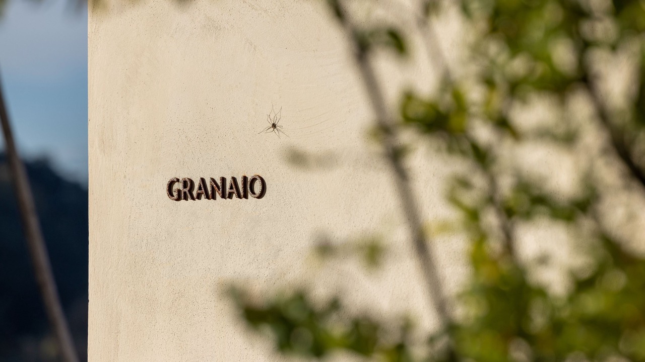 Photo of Outdoor in Cerreto Guidi