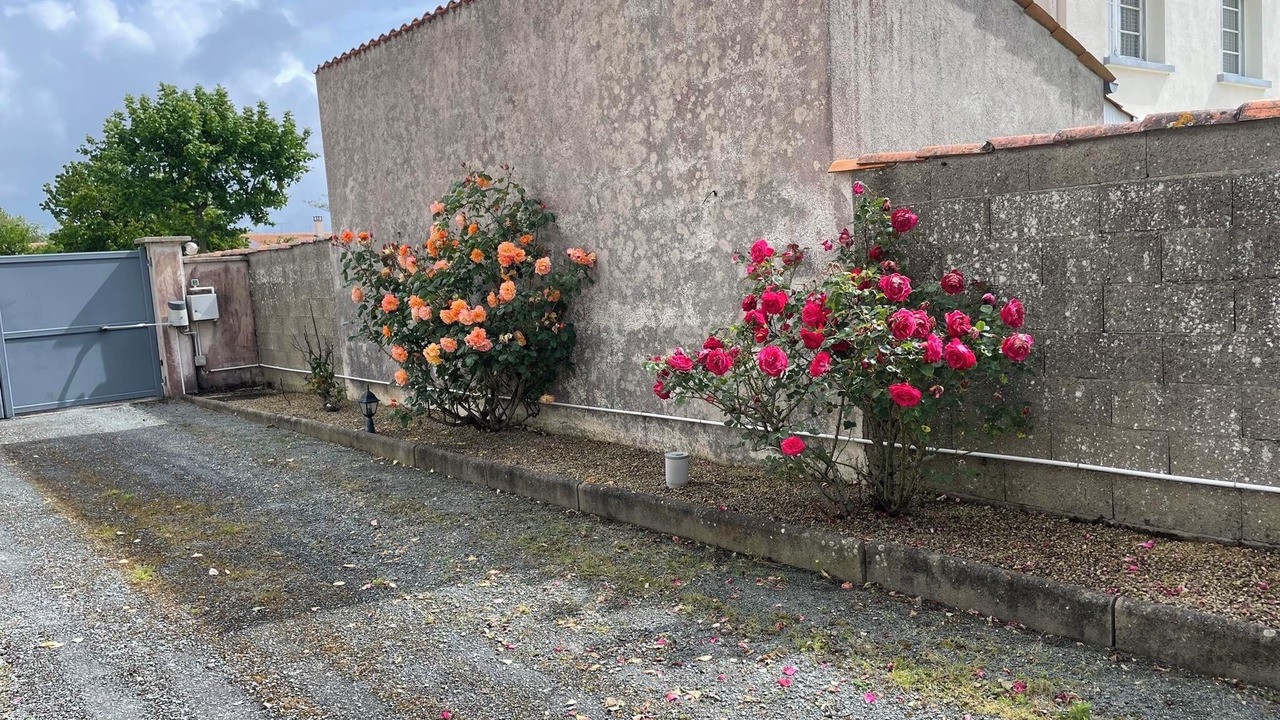 Photo of Outdoor in Angoulins