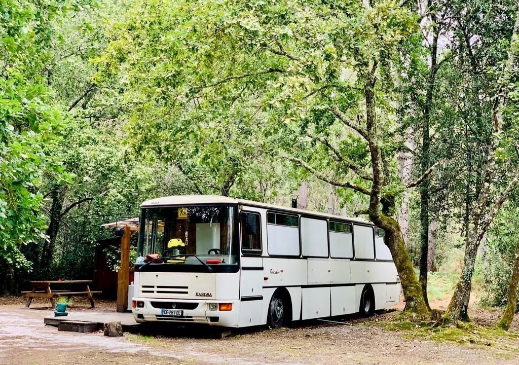 Photo of Outdoor in Belin-Beliet