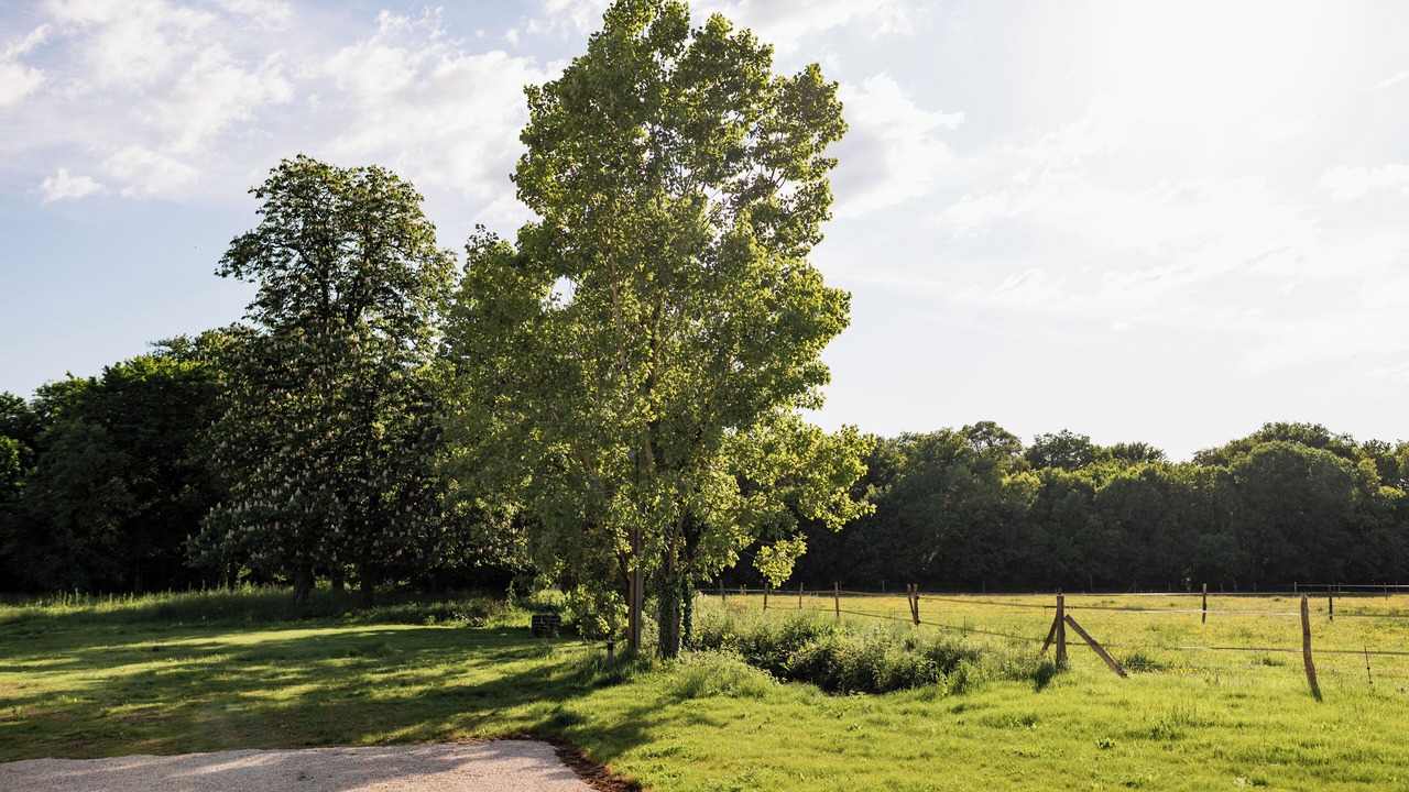 Photo of Outdoor in Liguge