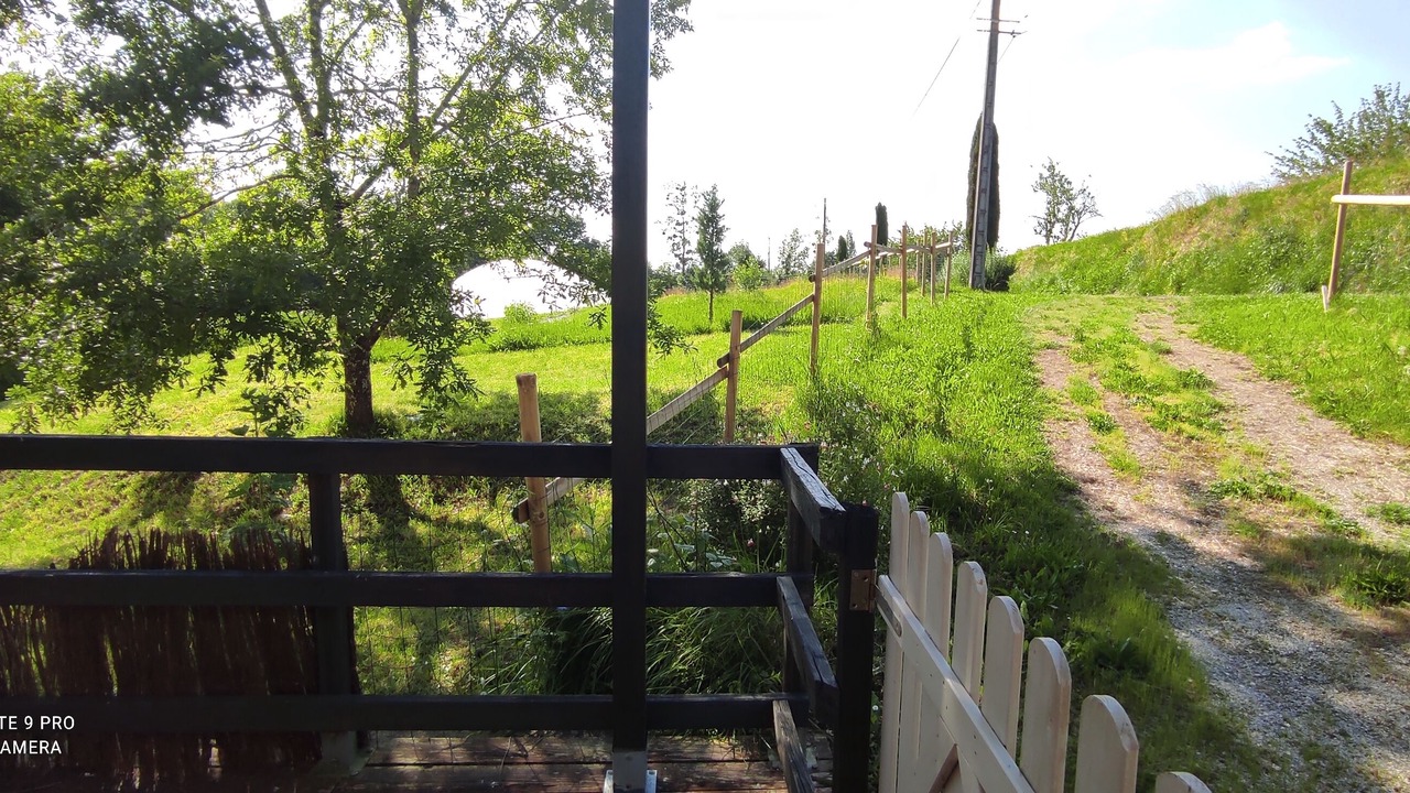 Photo of Outdoor in Saint-Maigrin