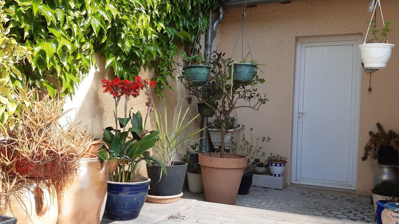 Photo of Outdoor in Quincay