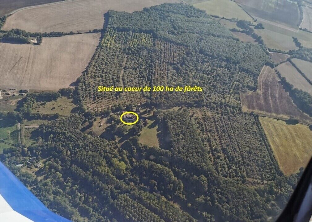 Photo of Outdoor in Archigny