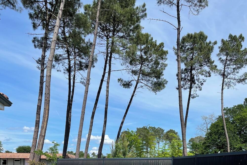 Photo of Outdoor in Narrosse