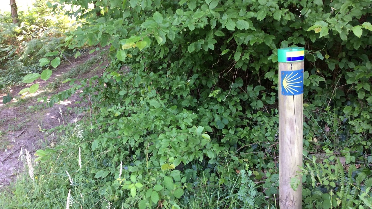 Photo of Outdoor in Eygurande-et-Gardedeuil