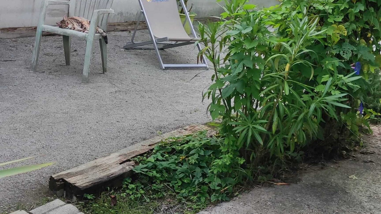 Photo of Outdoor in Tarnos