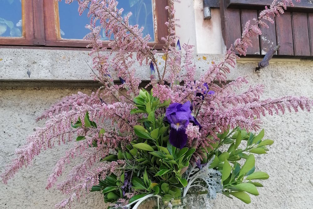 Photo of Outdoor in La Roche-Posay
