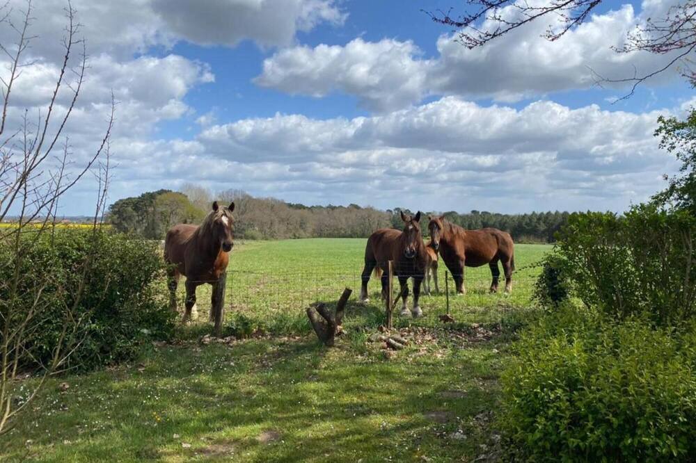 Photo of Others in Angoume