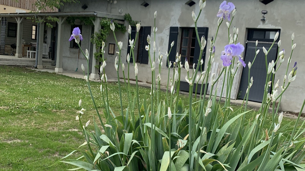 Photo of Outdoor in Neuvicq