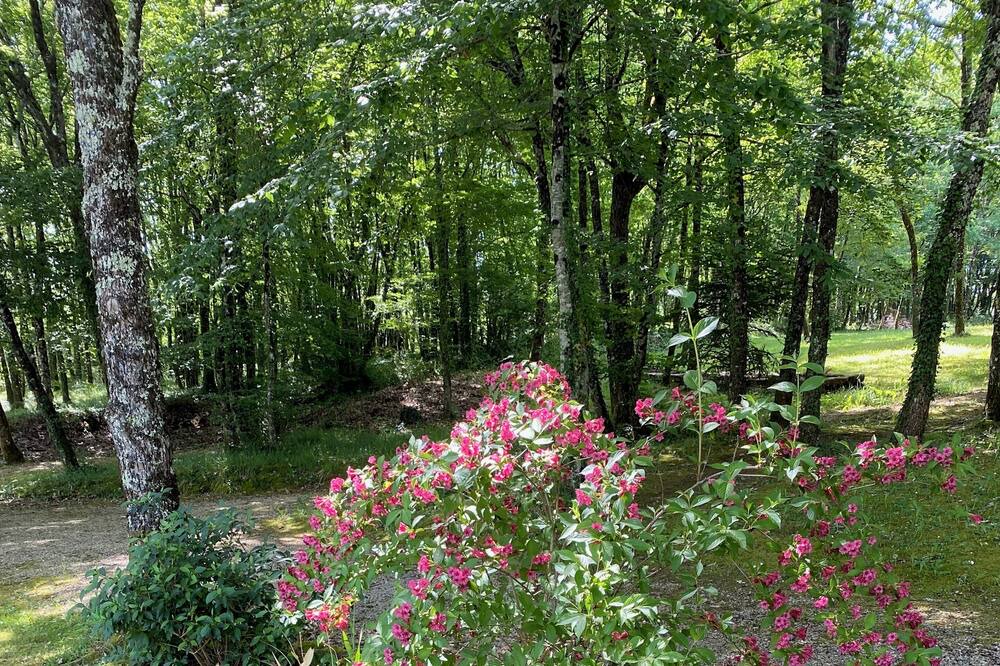 Photo of Outdoor in Saint-Amand-de-Coly