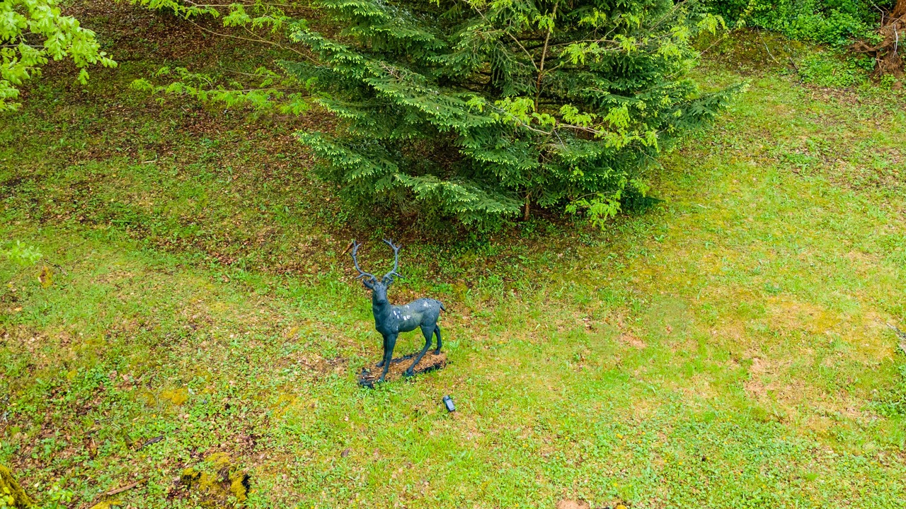 Photo of Outdoor in Saint-Amand-de-Vergt