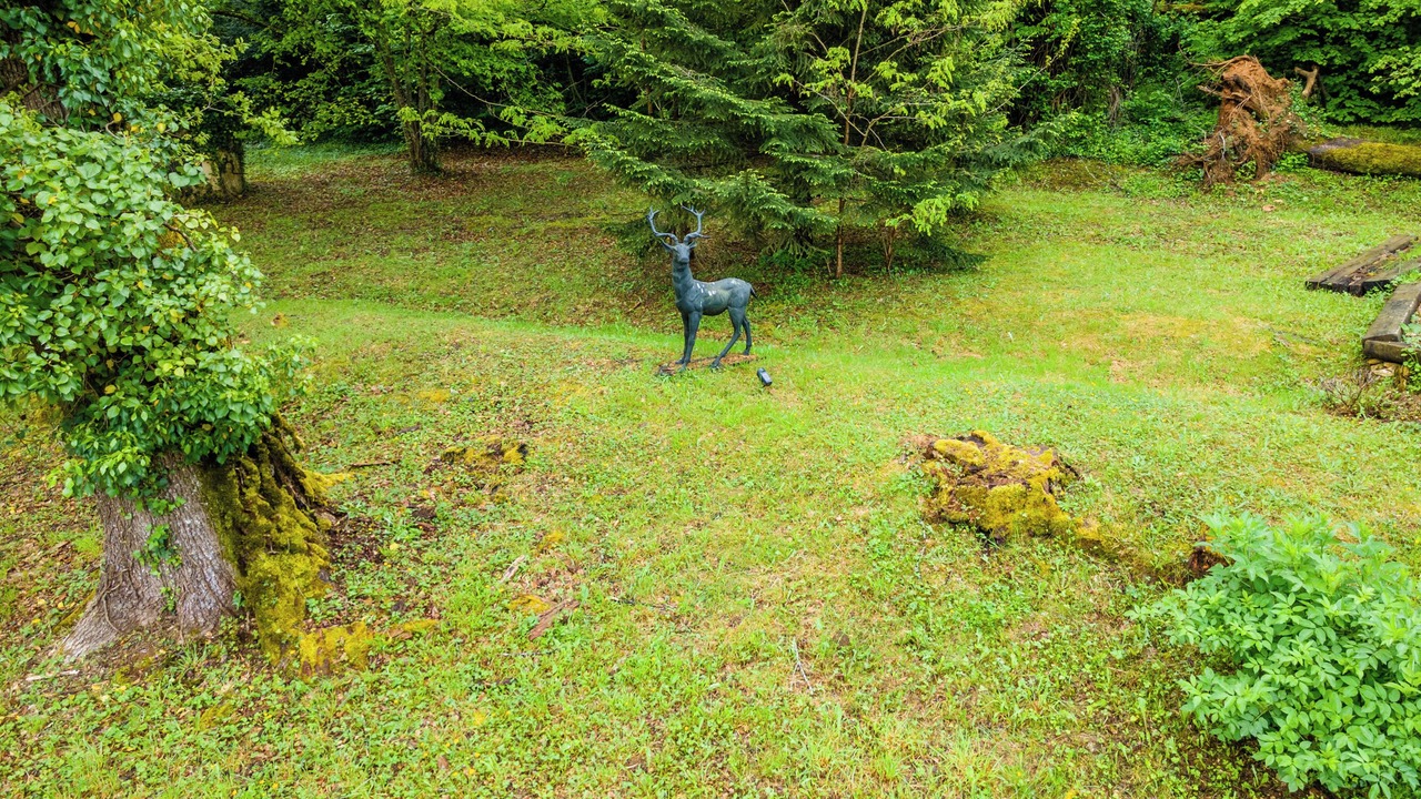 Photo of Outdoor in Saint-Amand-de-Vergt