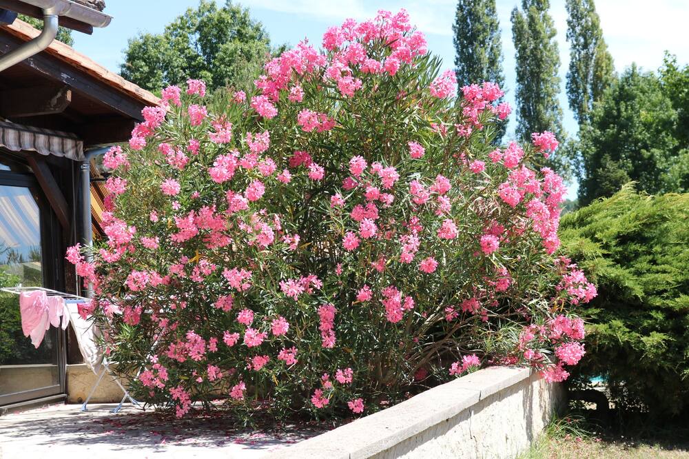 Photo of Outdoor in Bergerac