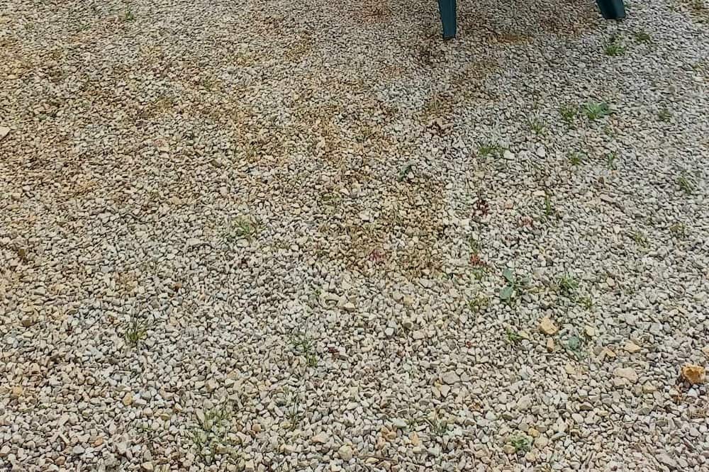 Photo of Outdoor in Savigne