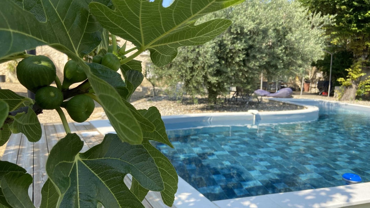 Photo of Outdoor in Mornas