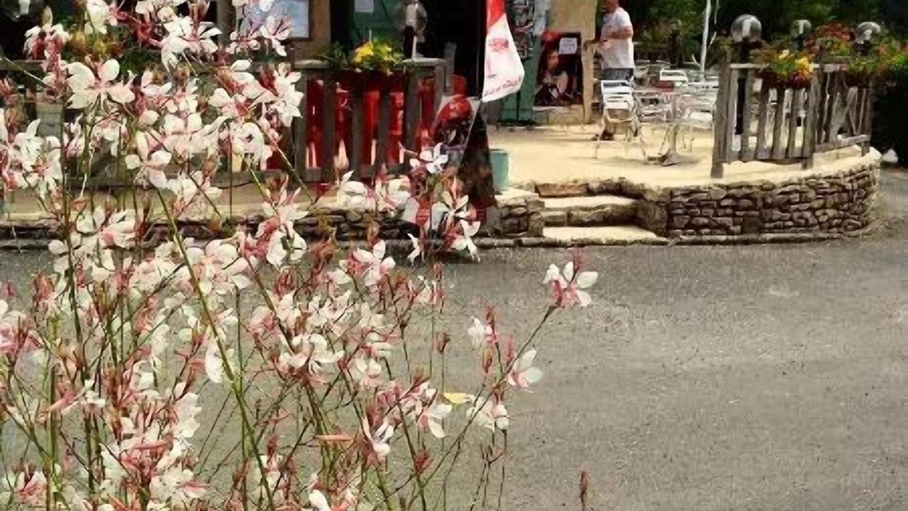 Photo of Outdoor in Villefranche-du-Perigord