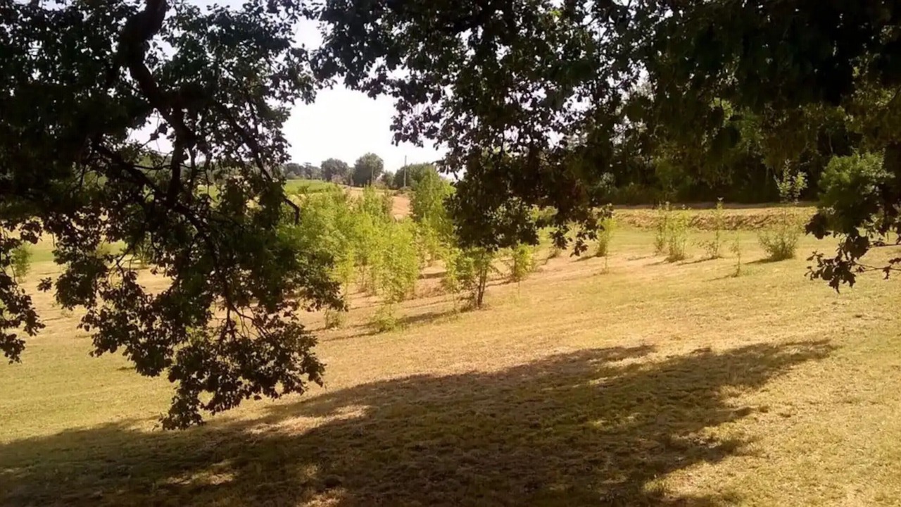 Photo of Others in Xaintrailles