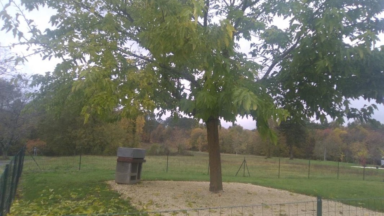 Photo of Others in Champagnac-de-Belair