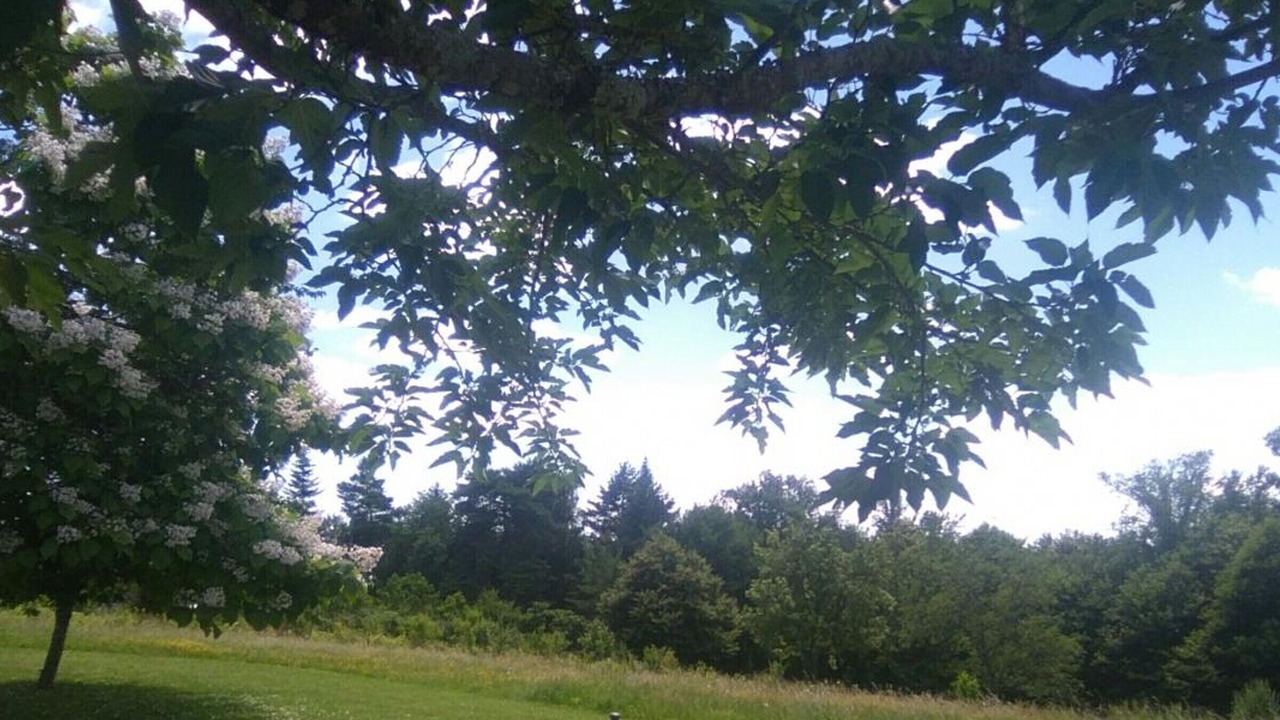 Photo of Others in Champagnac-de-Belair