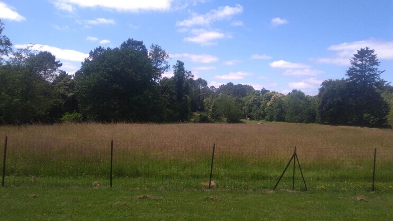 Photo of Outdoor in Champagnac-de-Belair