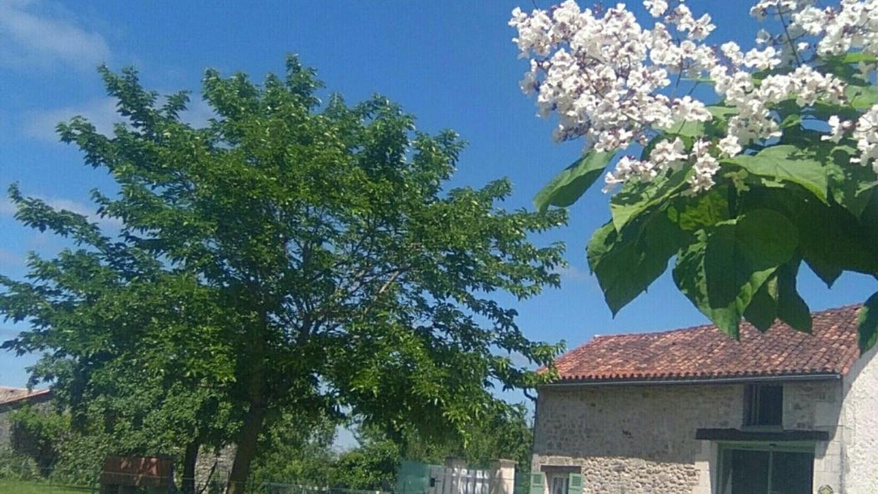 Photo of Outdoor in Champagnac-de-Belair