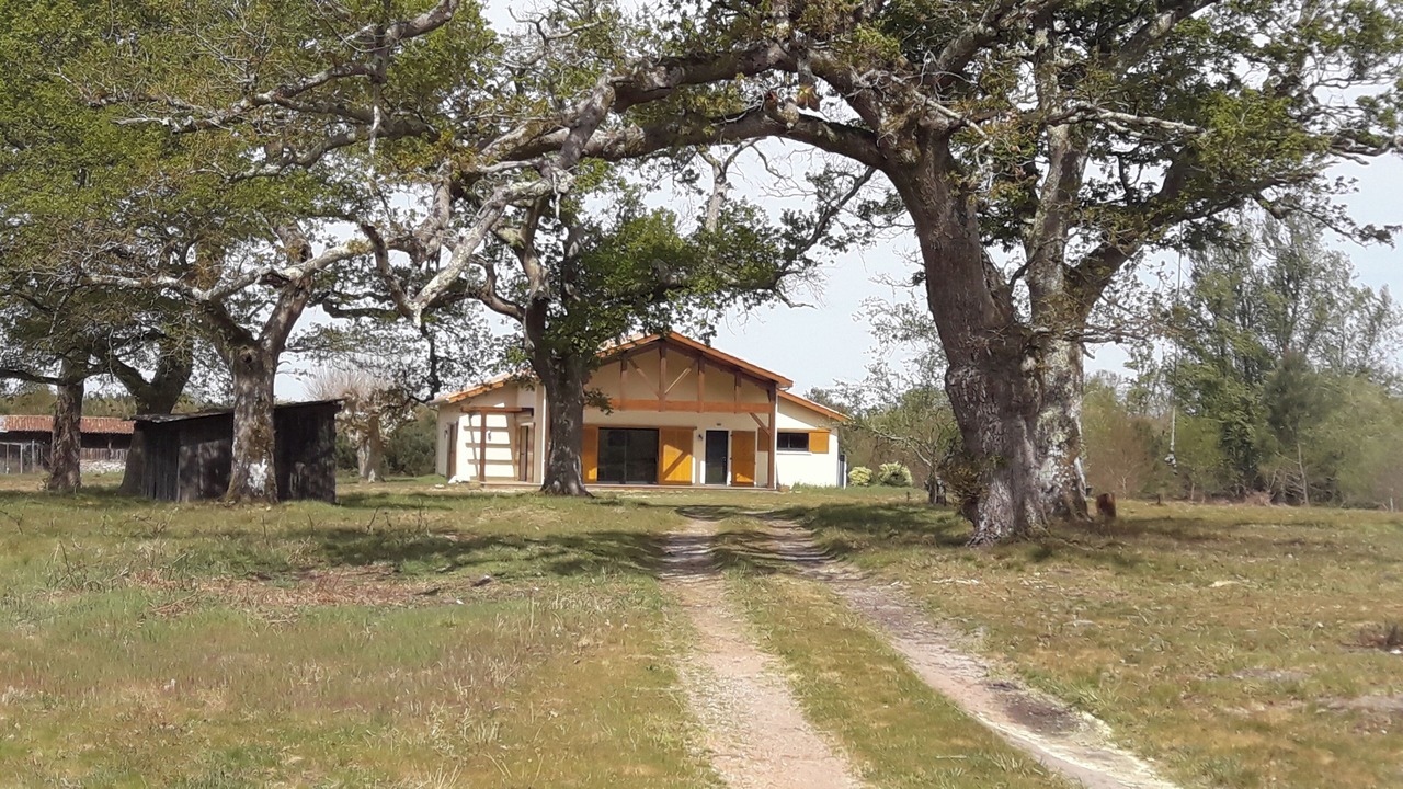 Photo of Outdoor in Saint-Paul-en-Born
