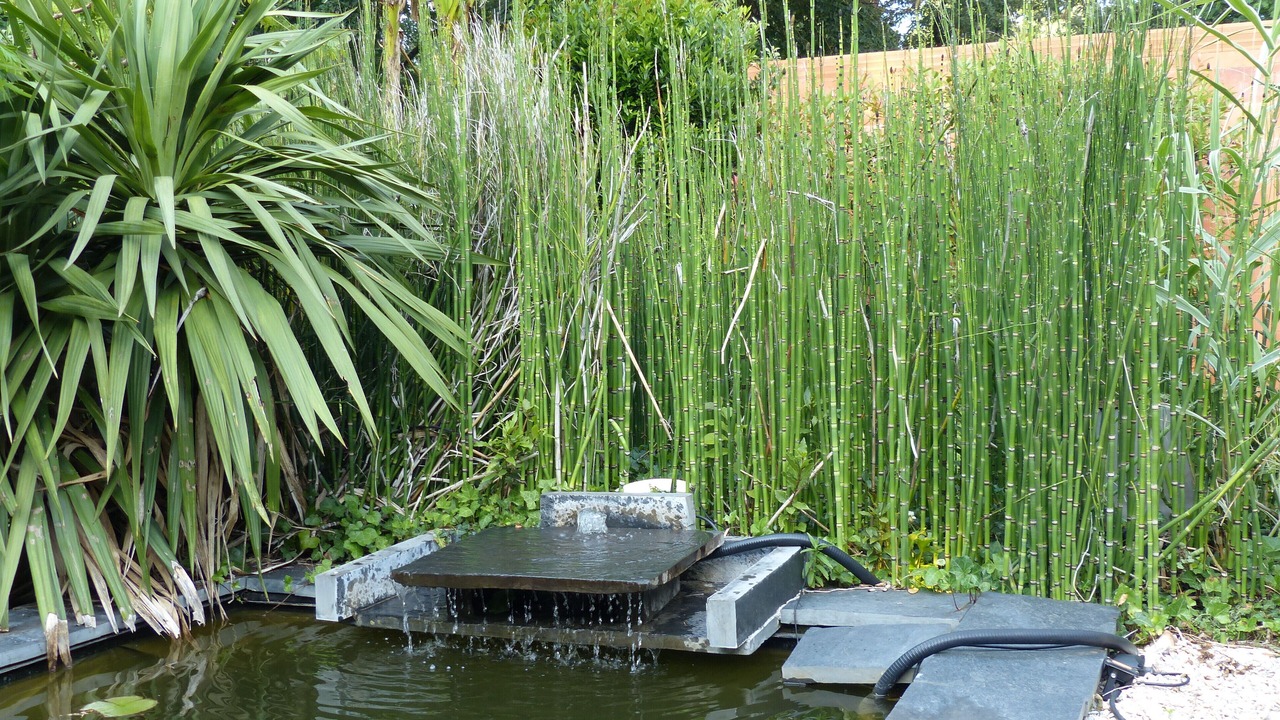 Photo of Outdoor in Merignac