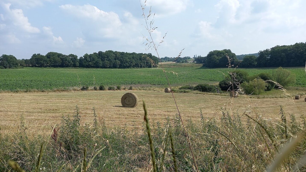 Photo of Others in Ribagnac