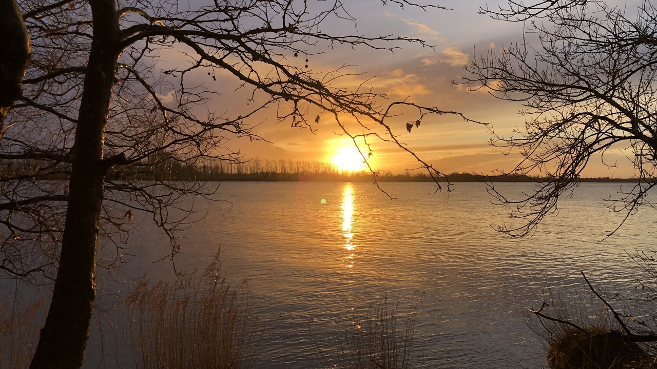 Photo of Others in Saint-Andre-de-Cubzac