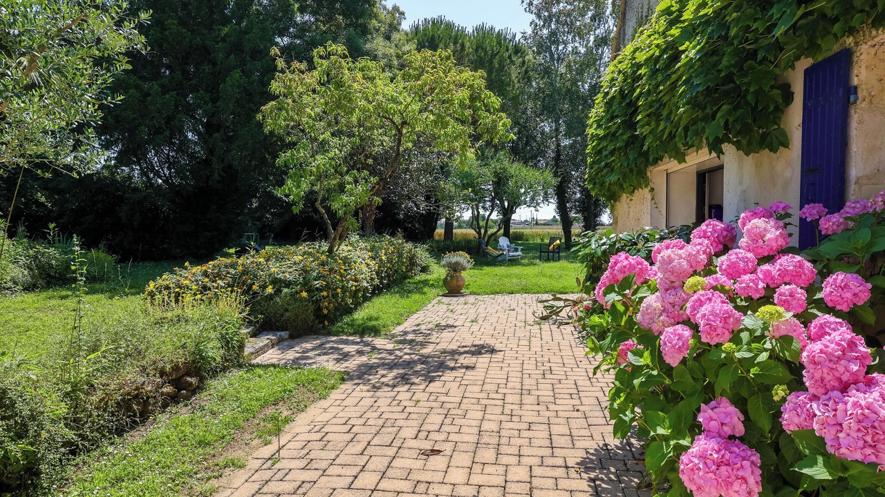 Photo of Outdoor in Mauzac