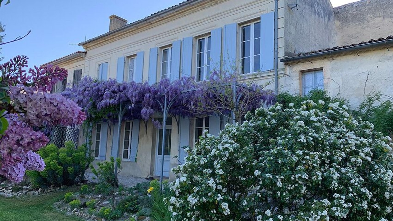 Photo of Outdoor in Saint-Estephe