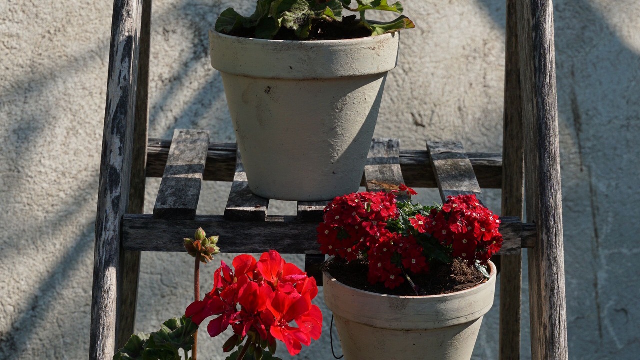 Photo of Outdoor in Challignac