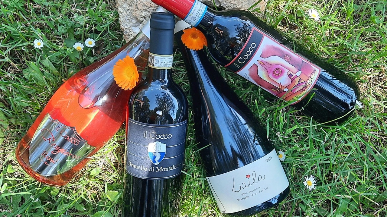 Photo of Others in Montalcino