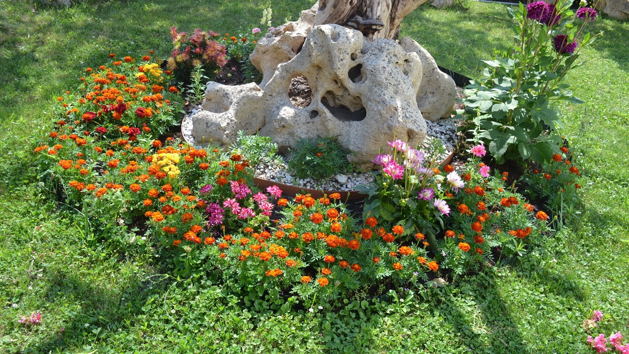Photo of Outdoor in Cenon